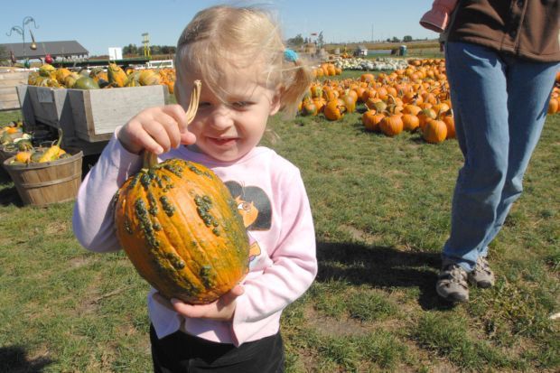Rader Family Farms